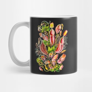 Nepenthes gymnamphora - Botanical illustration Mug